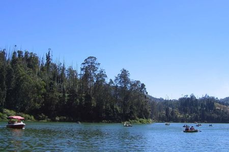 Ooty Tour Package - Mangalore Travel Hub