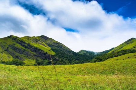 Wayanad Tour Package - Mangalore Travel Hub